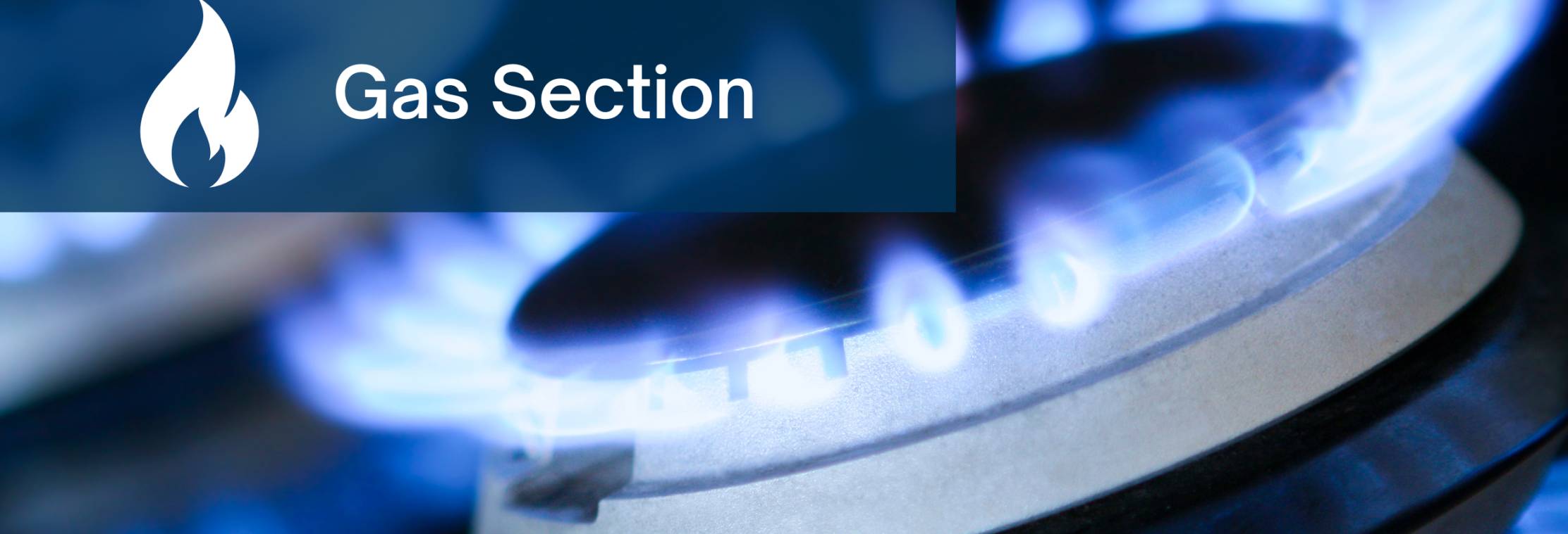 Gas Division Header image of gas burner with blue flame